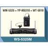 WS5325M